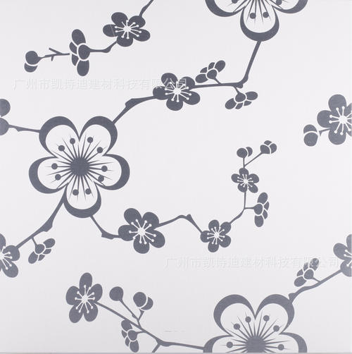 磨砂板集成吊顶-集成吊顶怎么选很受困惑