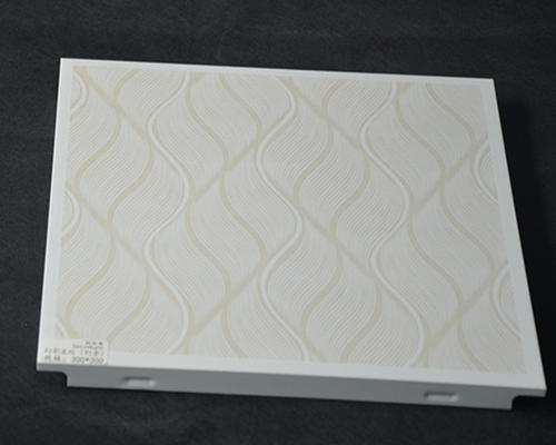 集成吊顶板环保吗-集成吊顶灯坏了怎么更换