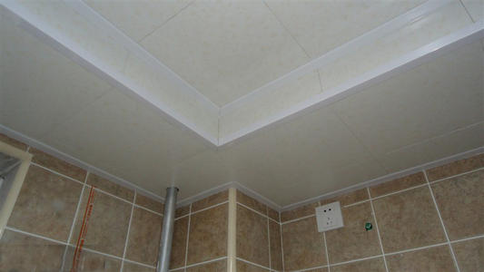 铝扣板材吊顶-铝扣板吊顶效果怎么样