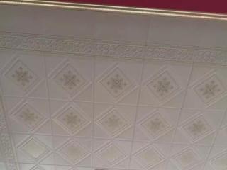 厕所厨房铝扣板-铝扣板吊顶和PVC吊顶选哪个好