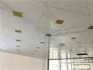 哪个厂商的铝扣板比较好-铝扣板和铝格栅吊顶那个比较好