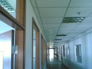 杭州集成吊顶店-广州集成吊顶厂家来讲讲