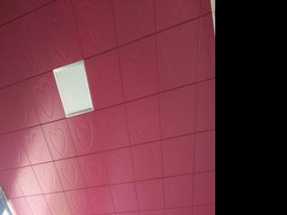 铝扣板吊顶什么价-佛山铝扣板厂家之什么影响铝扣板批发价格