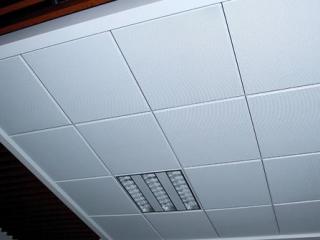 广西铝扣板生产厂家-恭喜广西柳州医药与佛山美利龙铝扣板工程项目合作