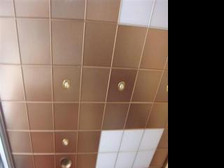 装饰铝扣板生产厂家-铝扣板和铝塑板一字之差哪个好