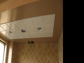 中国铝扣板吊顶-铝扣板天花吊顶优点