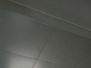 家装集成吊顶材料-厨房集成吊顶哪些材料好