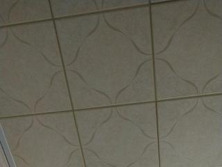 桑拿板和铝扣板哪个好-铝扣板和塑料扣板吊顶哪个好