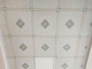 厨房铝扣板天花-厨房铝扣板厂家讲扣板上有凹凸图案很难清扫是真的吗