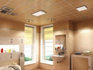 集成吊顶什么形状-有什么原因会导致铝方通吊顶不平整吧