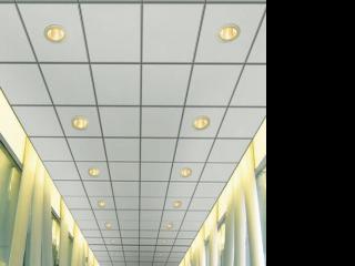 铝质天花铝扣板-铝质天花板那种好