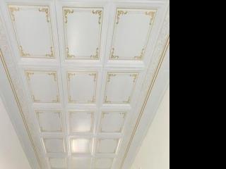 客厅集成吊顶-客厅吊顶材料怎么选