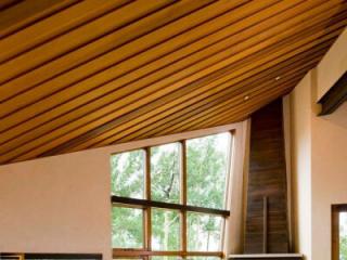 房间铝扣板吊顶效果图大全-简约铝扣板吊顶效果图