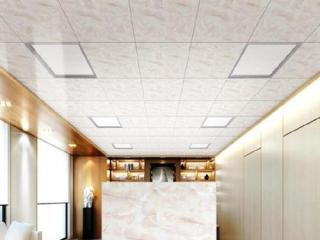 山东生态集成吊顶-集成吊顶怎么选